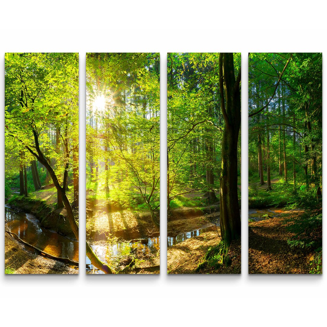 4-tlg. Leinwandbilder-Set Wald im Sonnenschein