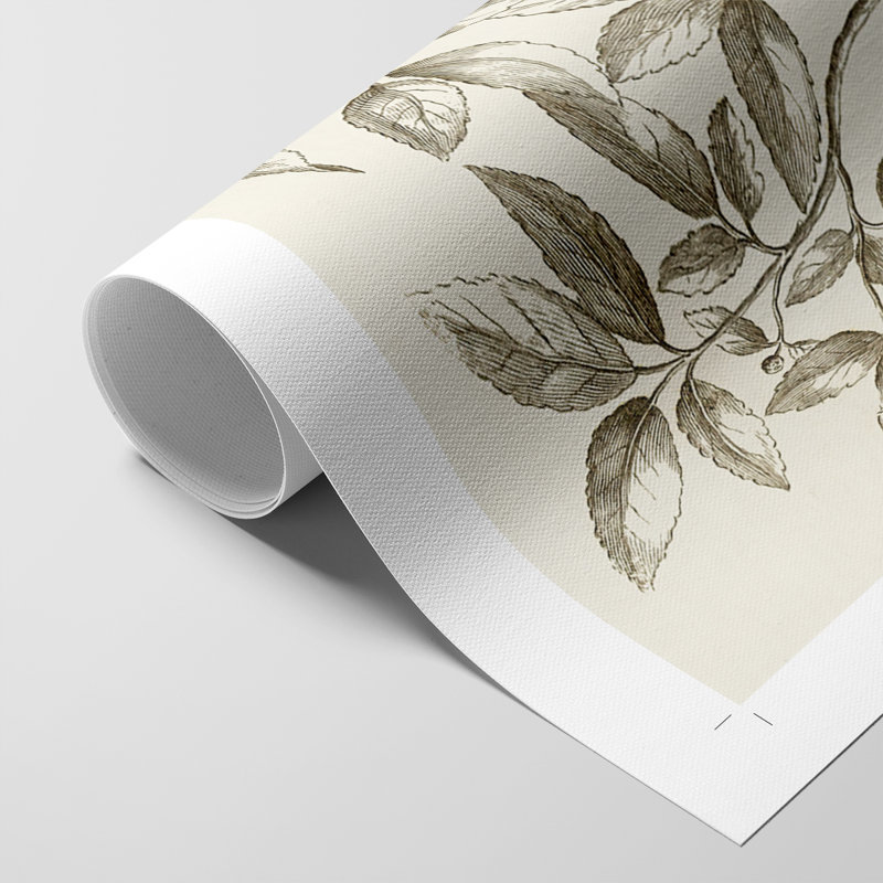 «Sepia Botanical Journal II», impression sur toile seulement - non encadrée, H 18 po x l 12 po