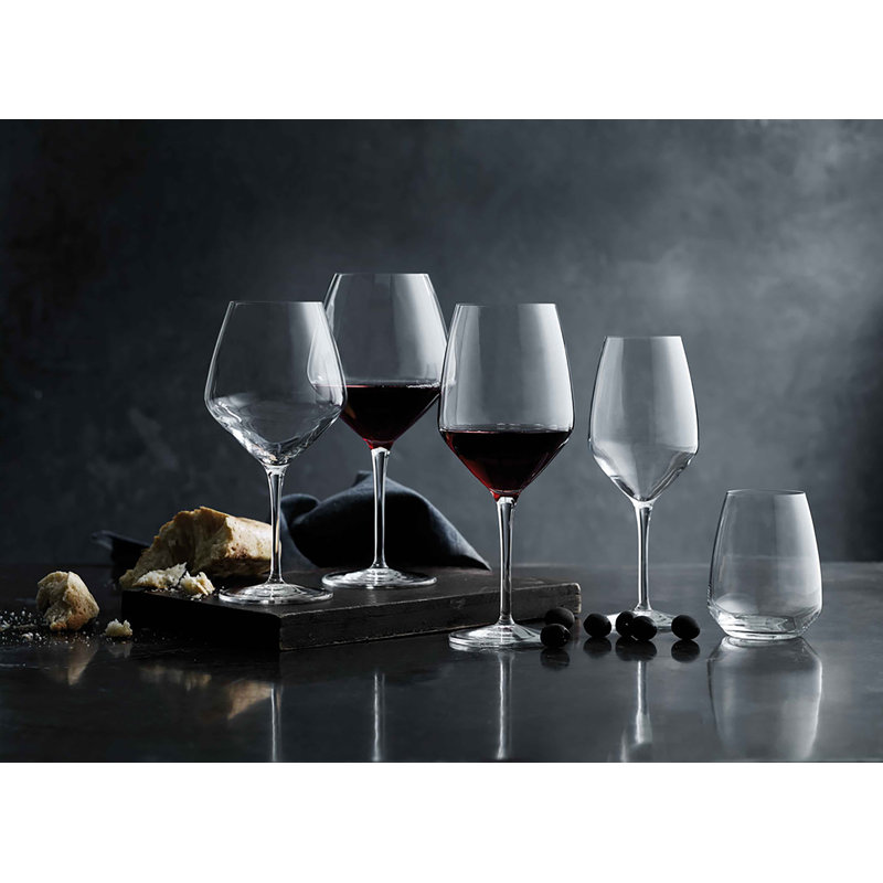 Atelier 14 oz. Riesling Stemless Drinking Glasses