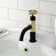 Webb Single Hole Bathroom Faucet with Drain Assembly