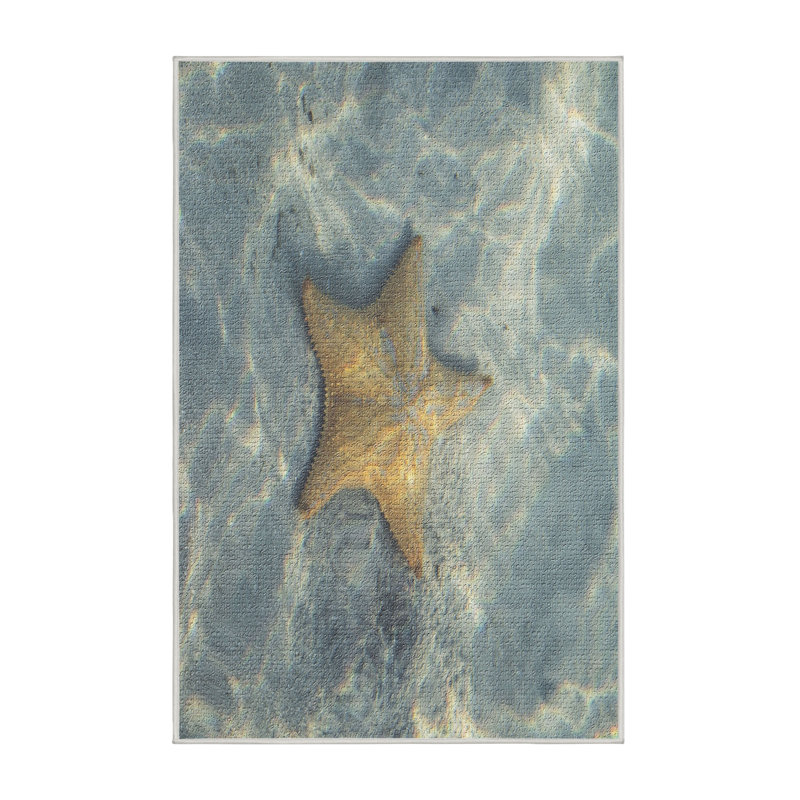 Tapis bleu Star, Rectangle 2 pi x 3 pi