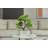 2-pack 14” Faux Bonsai Trees With Real Touch Leaves, In A Modern Geometric Ceramic Vase