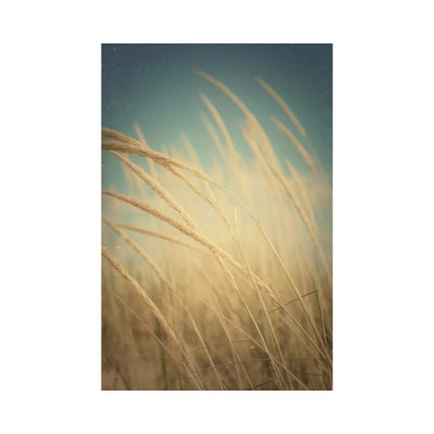 Windswept 1 Piece Wrapped Canvas Wall Art