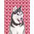 Alaskan (blanc et gris)