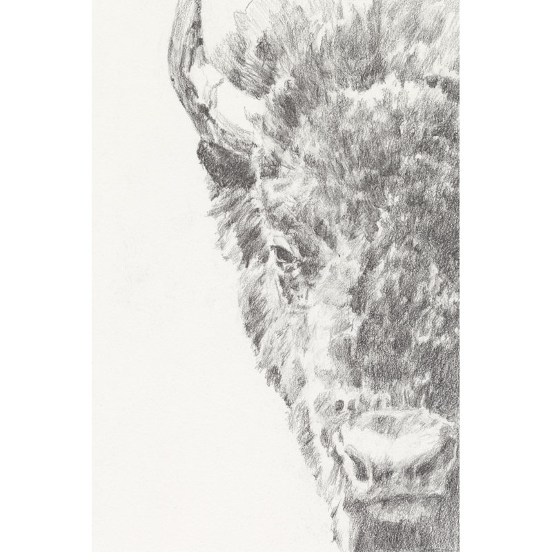 Graphite Bison Portrait I 1 Piece Wrapped Canvas Wall Art, 30cm H x 20cm W