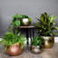 Hammered Metal Indoor Plant Pot Bowl-20881464