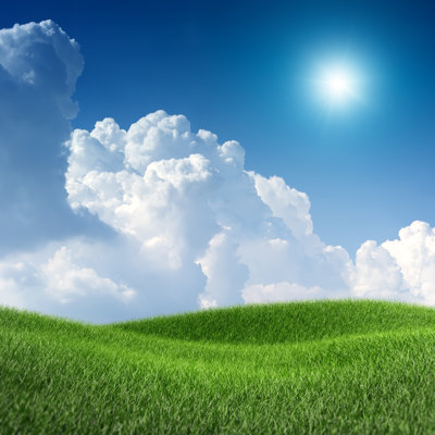 Green Field Under The Blue Sky by Sankai - No Frame Art Prints on Canvas
