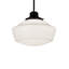 Luminaire suspendu 1 lumières scolaire single Moton
