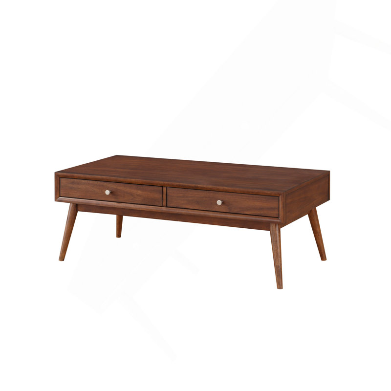 Parinaaz Coffee Table