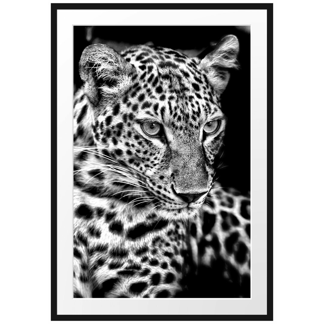 Gerahmtes Poster Leopard mit blauen Augen