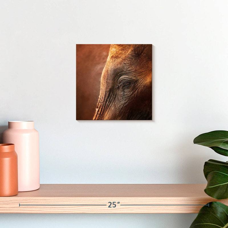 Brampt Elephant Lashes, 10" H x 10" W
