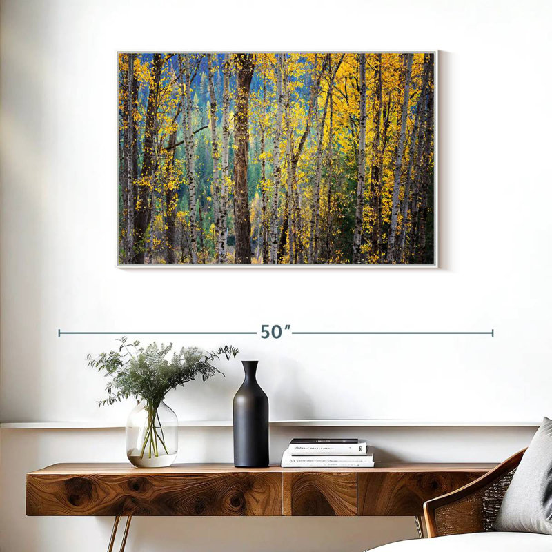 Kootenay Fall II, Cadre flottant blanc, 37 po x 25 po