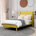 New Yellow Velvet