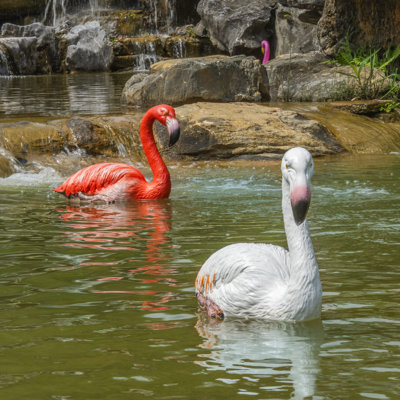 Plastic Floating Flamingo Red and White
