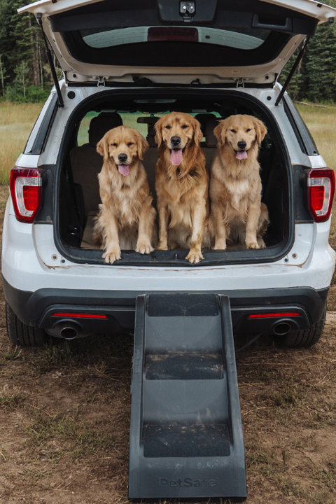 Shop Pet Ramps & Steps