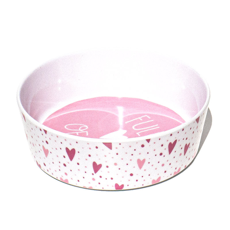 Anti-Skid Pet Bowl