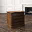 Archivist Two Drawer Lateral File-22406257