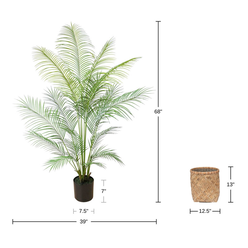 Cairns Outdoor UV Rated Kentia Palm Drop-In Trees with Bamboo-Wrapped Cement Pots, 68" H x 39" W x 39" D