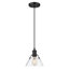 Luminaire suspendu conique à 1 lumière Weatherford-663876209-660949723-660949696