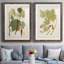 Feuilles antiques III - ensemble de 2 reproductions d'art sur papier encadré-2095188290-2095188293
