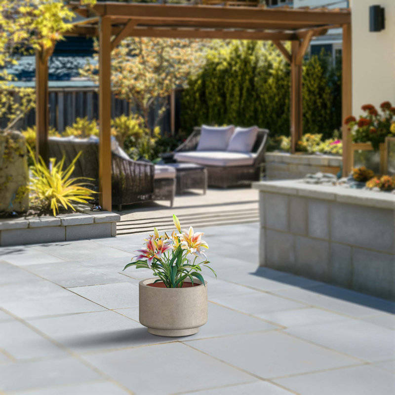 Grand pot / pot rond en béton avec trous de drainage, Noir anthracite, H 9,06 po x l 12,6 po x P 12,6 po