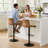 Lolar Swivel Bar Stools Set, Counter Height Bar Stools with Back, Adjustable Bar Stools 24" to 32", Faux Leather Bar Stools for Kitchen Island-1002076742-1002076747