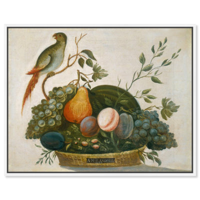 Randall Fruit with Parrot 1777 Canvas Famous Classic Art by 