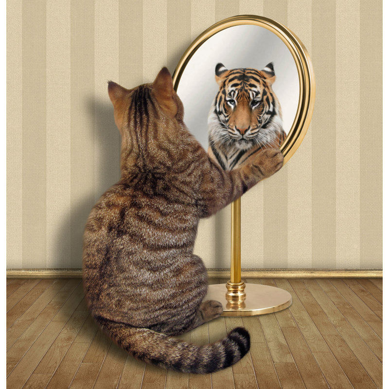 Wrapped Canvas Print, 60.96 cm H x 91.44 cm W