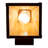 Dashiell Steel Armed Sconce