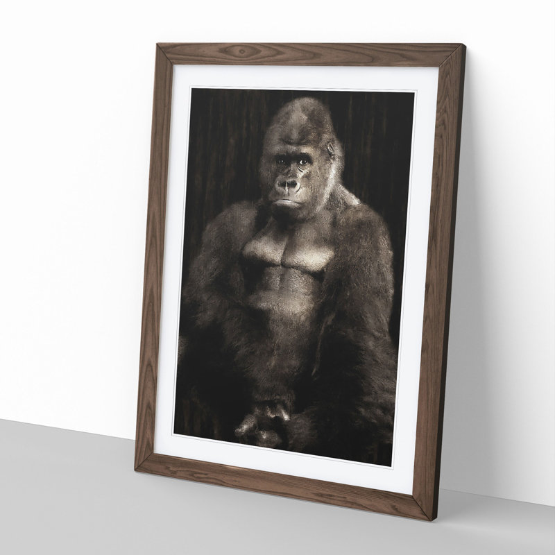 Silverback Gorilla Vol.2 - Framed Print, 48cm H x 36cm W x 2cm D, Walnut Framed