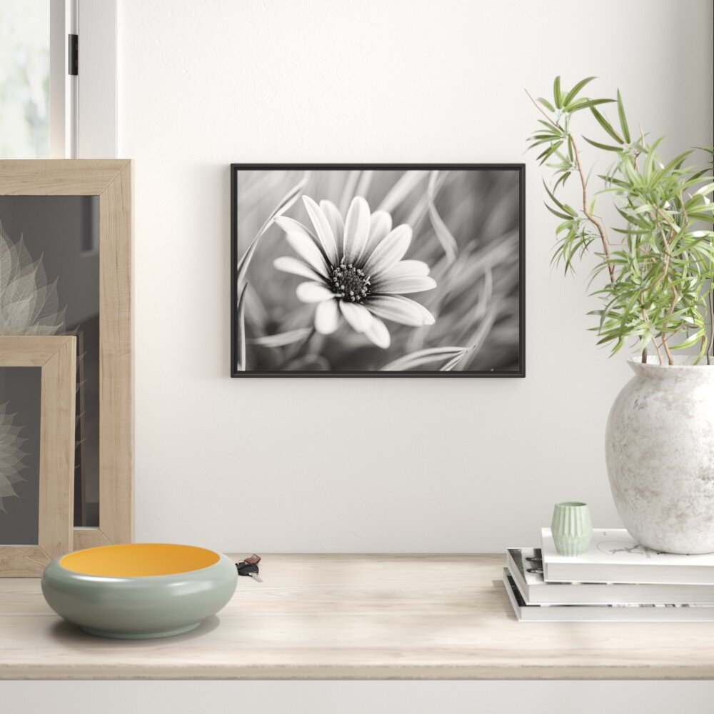 Gerahmtes Wandbild Blume in der Natur