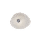 Onn 1 - Light LED Flush Mounted Sconce