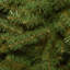 Arbre de Noël épinette-33349426