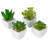 3.25'' Faux Succulent Plant in Ceramic Planter