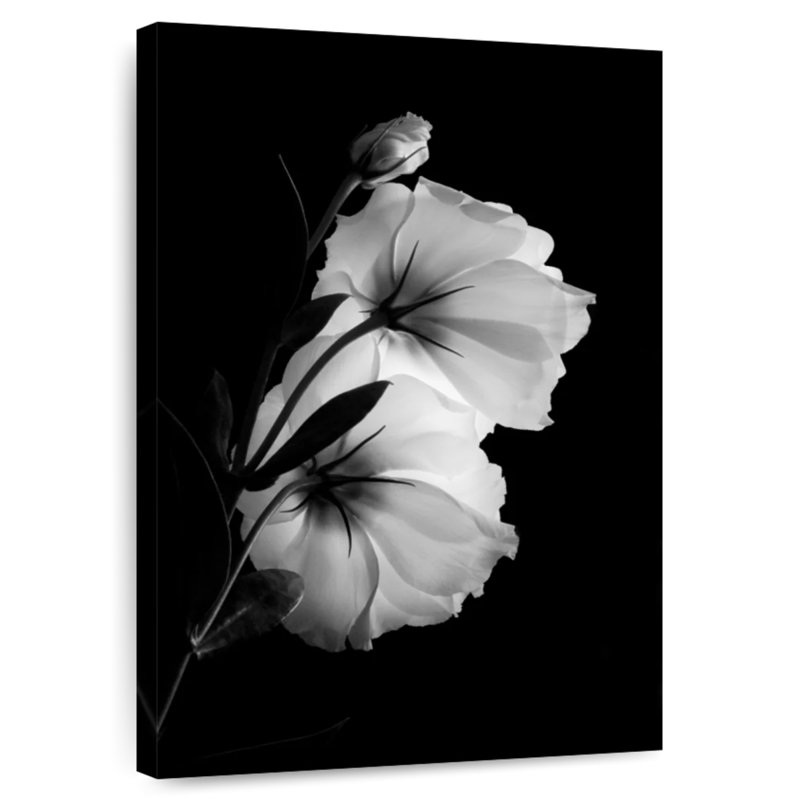 Double Delicacy, 39" H x 26" W