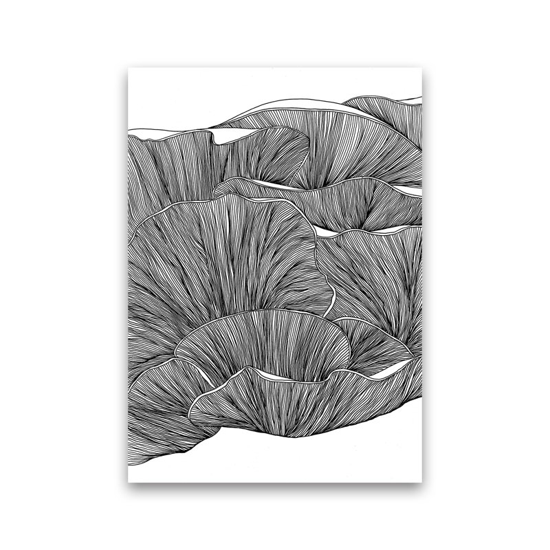 Oyster Mushrooms BW by Carissa Tanton - Print, Unframed, 84cm H x 60cm W x 1cm D