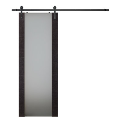 Avanti 202 Manufactured Wood and Glass BLACK APRICOT Paneled Prefinished Barn Door with Installation Hardware Kit