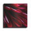 Latitude Run® «Red Chrysanthemum Close up 02» par Tom Quartermaine, art mural en métal-1784634366