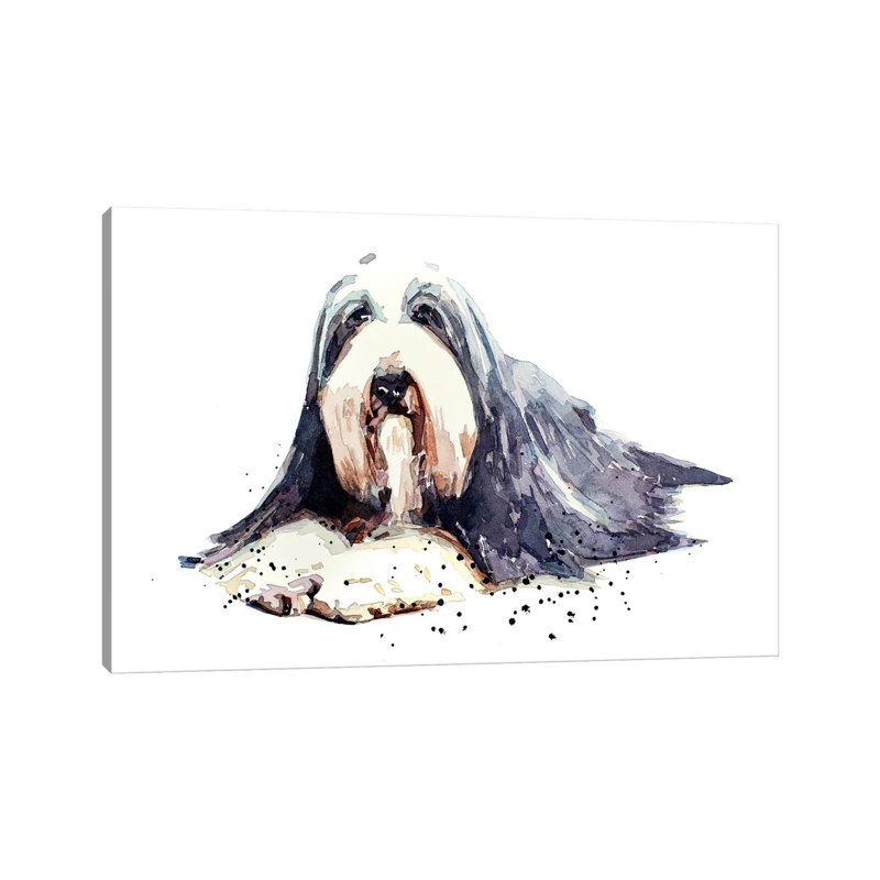 Bearded Collie I by EdsWatercolours - Wrapped Canvas Gallery-Wrapped Canvas Giclée, Wrapped Canvas, 12" H x 8" W
