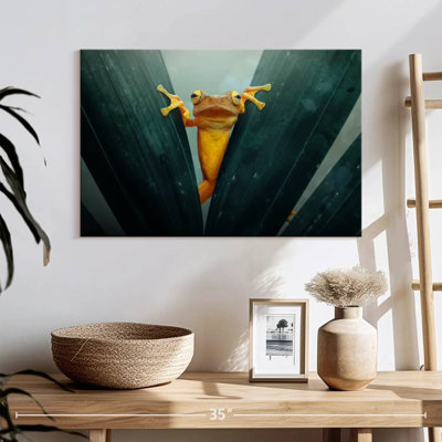 Grenouille jaune ronce