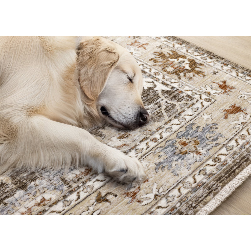 Tapis traditionnel beige Gorrian, Rectangle 5 pi 3 po x 7 pi 10 po