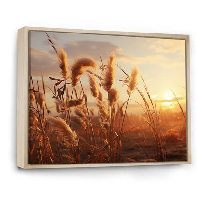 Coucher de soleil, Meadows d'été I