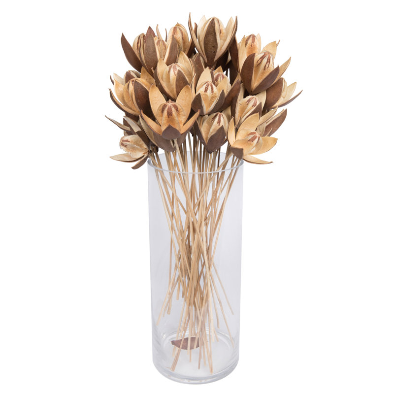 Lys sur tige 20 po Natural Botanicals. Comprend 50 tiges par paquet