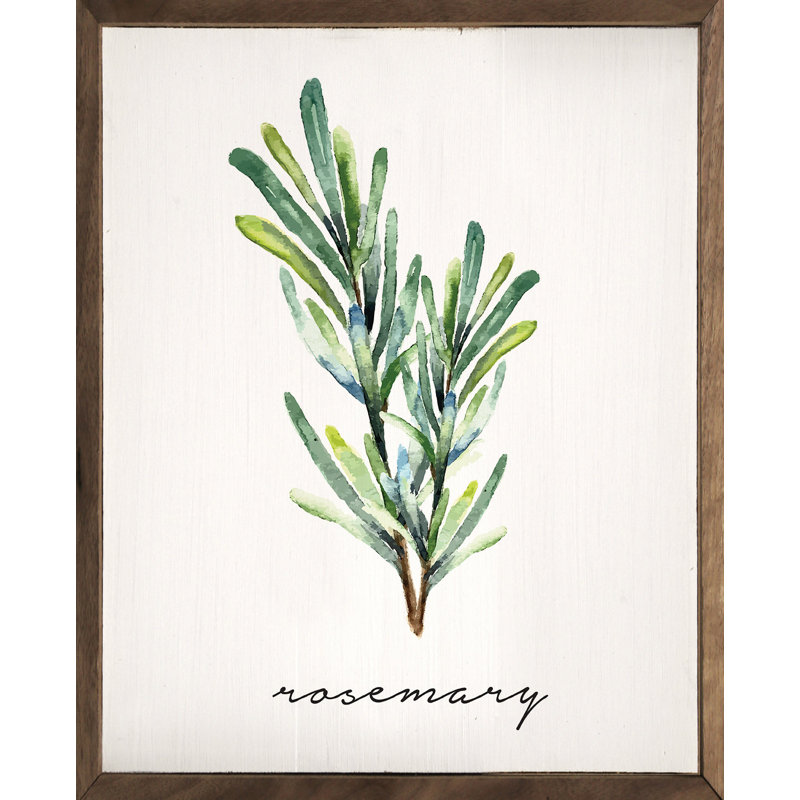 Series Herb Rosemary, H 10 po x l 8 po