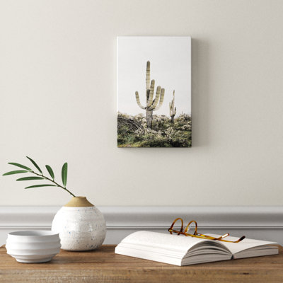 « rosé timide cactus », photographie