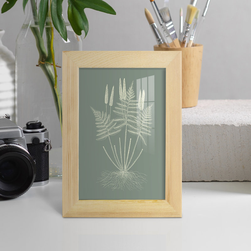 Ferns On Sage VII, encadré sur papier, H 6 po x l 4 po x P 1 po, Naturel