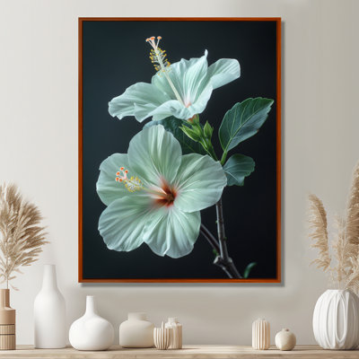 Hibiscus vert cristal II - Hibiscus