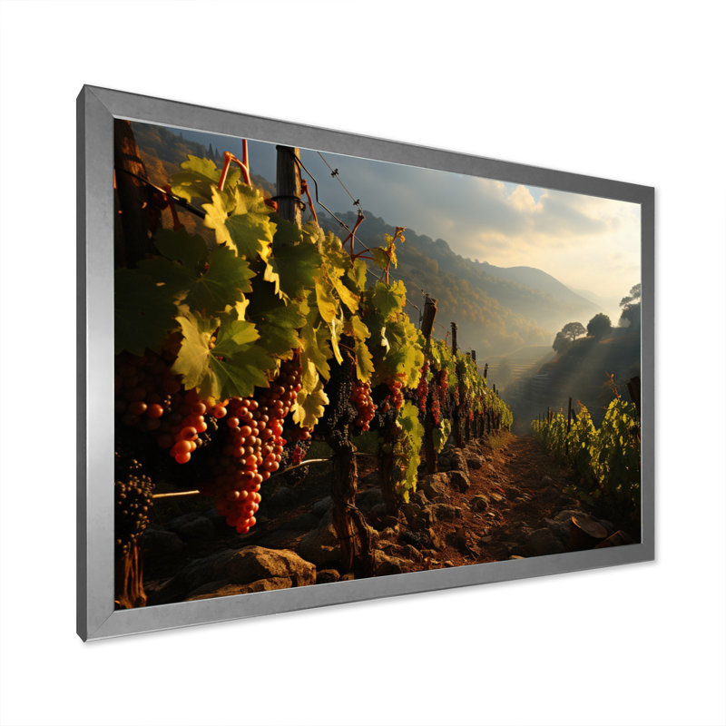 «Vineyard Misty Meadows Cellars I», reproduction sur toile, H 12 po x l 20 po x P 1 po, Cadre photo argenté
