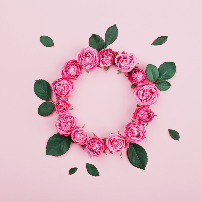 Pink Rose Flowers 1 Piece Wrapped Canvas Wall Art, 51cm H x 51cm W