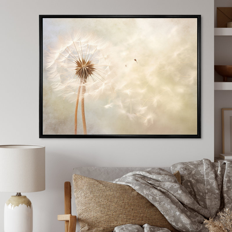 White Dandelion Romantic Impression IV On Canvas Print, 12" H x 20" W x 1" D, Black Floater Framed